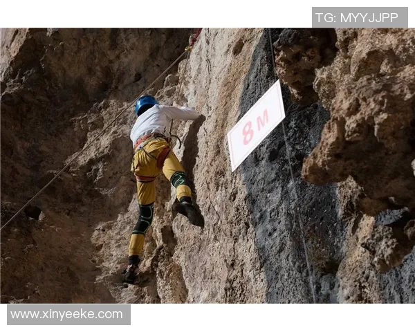 上海攀岩队以83分稳居攀岩联赛积分榜首位展现强劲实力 上海攀岩队以83分稳居攀岩联赛积分榜首位展现强劲实力