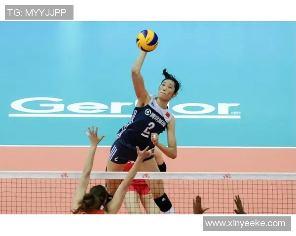 专访杨强：探讨排球成功背后的秘诀与团队协作的重要性