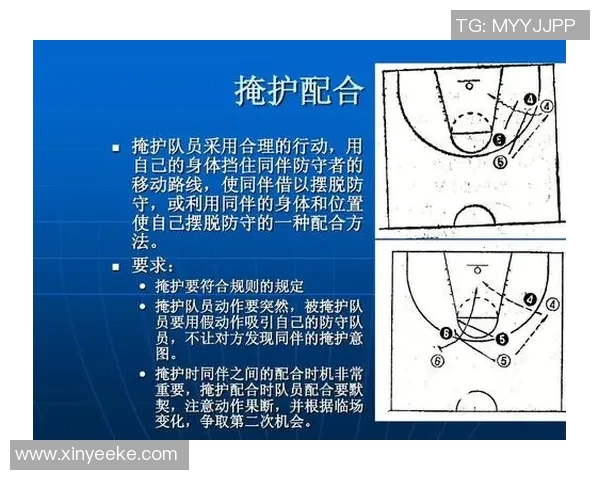 成都篮球队的崛起与发展:探索团队意识与战术创新的深度分析 成都篮球队的崛起与发展:探索团队意识与战术创新的深度分析