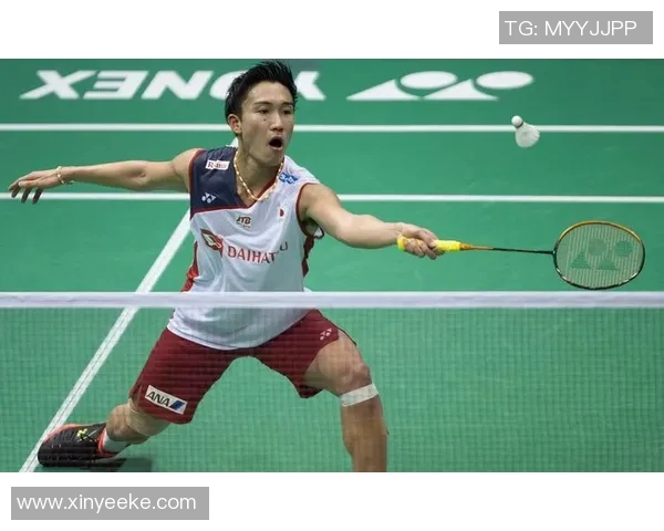 南京羽毛球队以69分稳居总决赛积分榜首位展现强劲实力