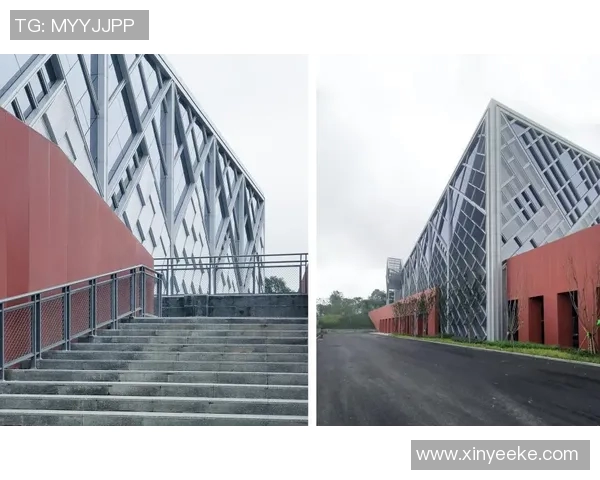 成都排球队状态分析与未来发展展望的深度探讨