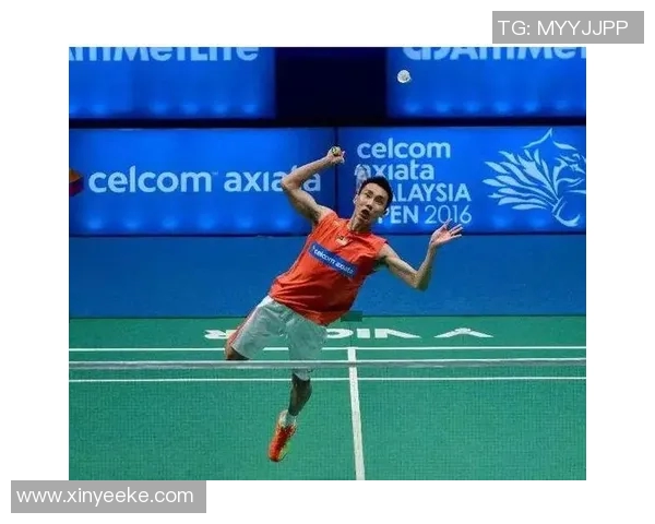 武汉羽毛球队进攻策略揭秘：深度分析与战术解析