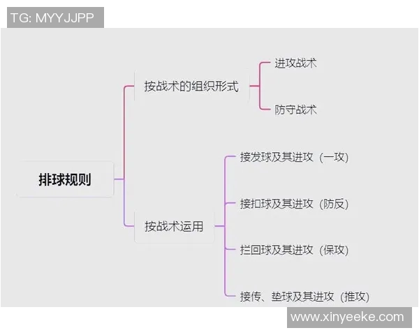 深圳排球队灵活性变革引发热议探讨排球新战术与团队协作模式 深圳排球队灵活性变革引发热议探讨排球新战术与团队协作模式