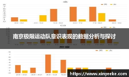南京极限运动队意识表现的数据分析与探讨