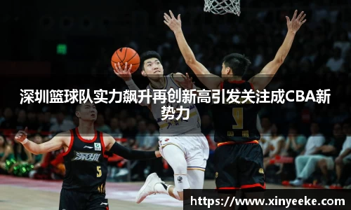 深圳篮球队实力飙升再创新高引发关注成CBA新势力