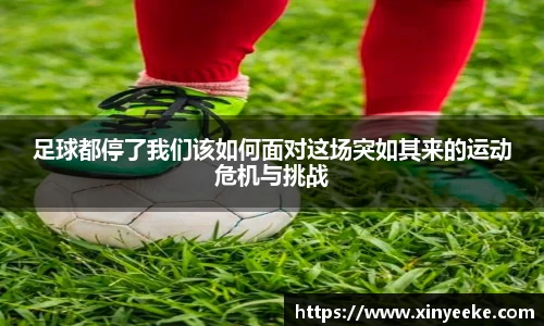 BB贝博艾弗森中国