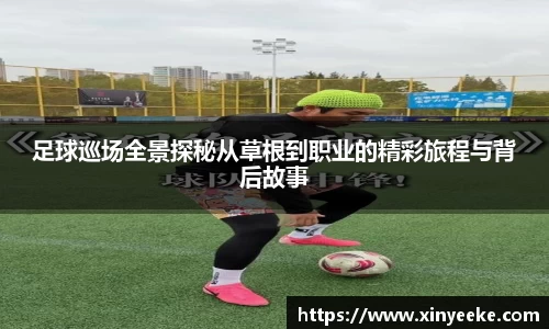 BB贝博艾弗森股份