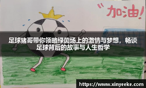 BB贝博艾弗森股份